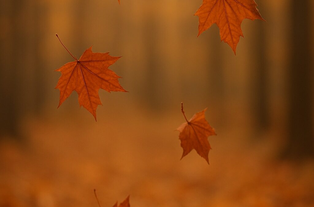 Abbracciare l’autunno con lo yoga: trasformazione, introspezione e nuovi inizi